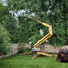 Mulching Services in Evansville, IN